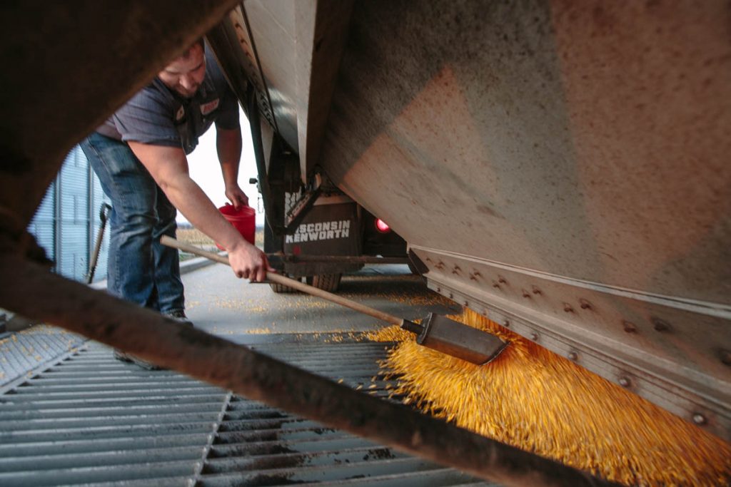 wheatongraintruckdrivertakingcornsample Exclusive Commercial